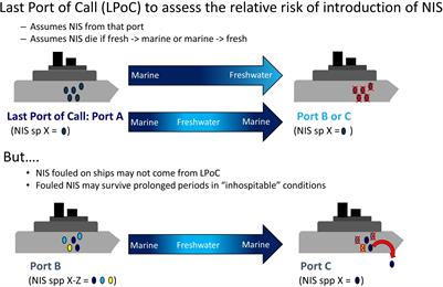 Experimental Analysis of Survival and Recovery of Ship Fouling Mussels During Transit Between Marine and Freshwaters